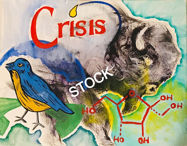 "Crisis" - Copied Print - Native Oklahoma - Art